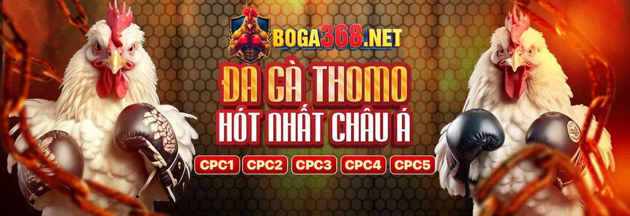 Đá Gà Trực Tuyến p88bet