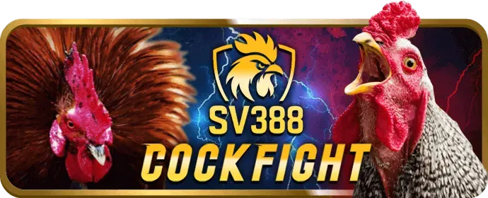 Dịch vụ hỗ trợ khách hàng 24/7 của p88bet